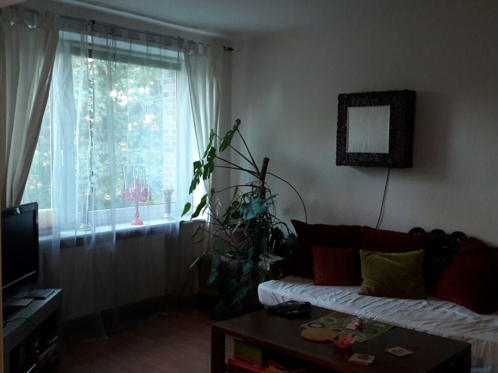 Monstera am Fenster in Hamburg schon etwas größer